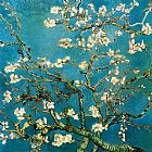 Vincent van Gogh Almond Branches in Bloom 1 painting